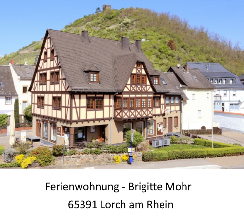 (c) Hotel-zum-neuen-Schwan.de