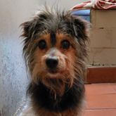 (c) tiere-der-woche.de