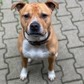 (c) tiere-der-woche.de