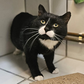 (c) tiere-der-woche.de