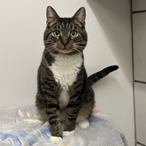 (c) tiere-der-woche.de