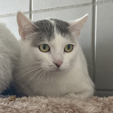 (c) tiere-der-woche.de