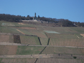 (c) Ferienwohnung-Rheingau-Walluf.de