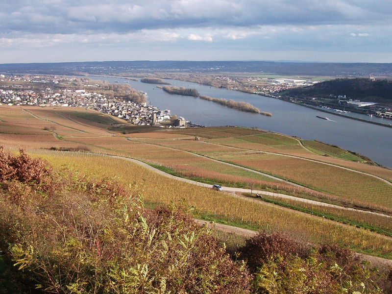 (c) Hotel-zum-neuen-Schwan.de