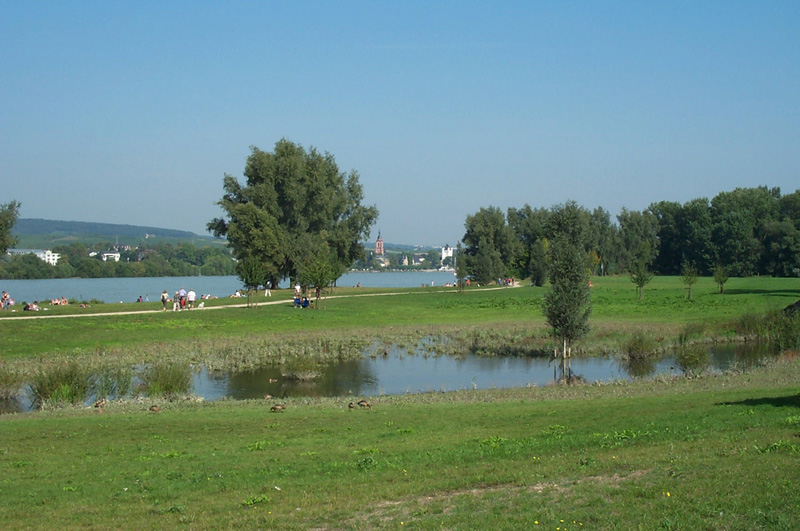 (c) Ferienwohnung-Rheingau-Walluf.de