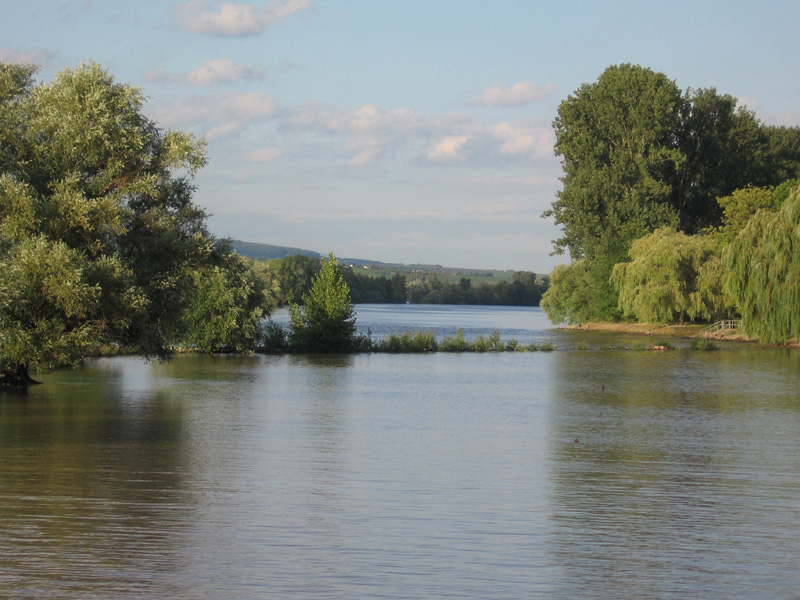 (c) Hotel-zum-neuen-Schwan.de