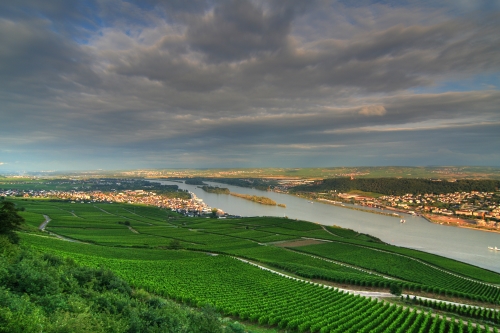 (c) Ferienwohnung-Rheingau-Walluf.de, 65396 Walluf